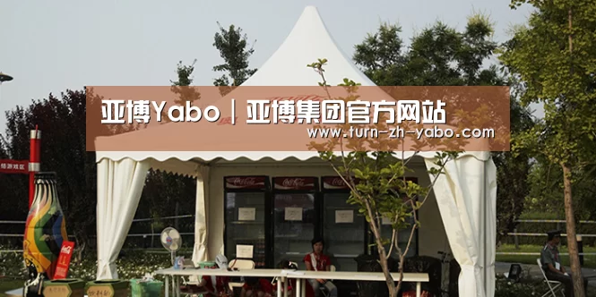 案例标题五