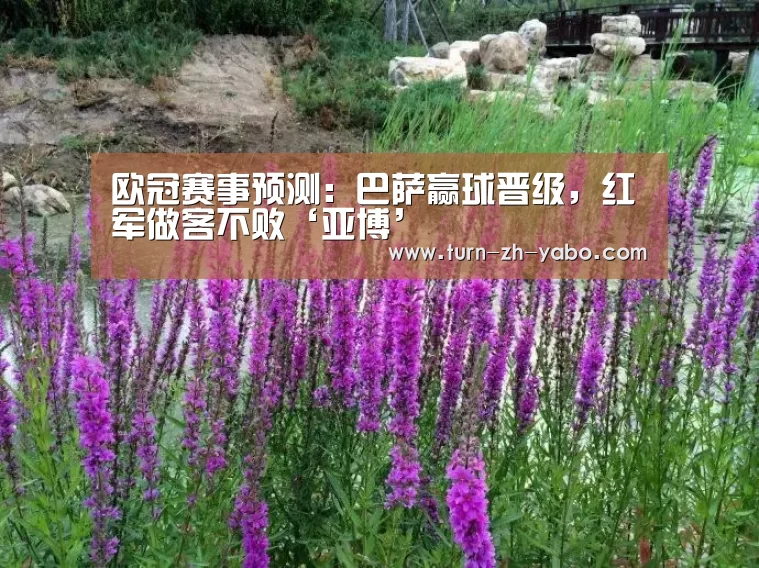 欧冠赛事预测:巴萨赢球晋级,红军做客不败‘亚博’