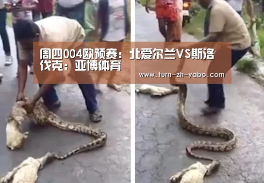 
周四004欧预赛：北爱尔兰VS斯洛伐克：亚博体育