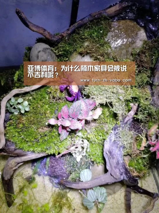 亚博体育：为什么楠木家具会被说不吉利呢？