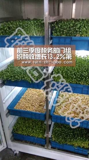 前三季度税务部门组织税收增长13.2%第三季度增8%|亚博体育