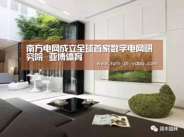 南方电网成立全球首家数字电网研究院-亚博体育